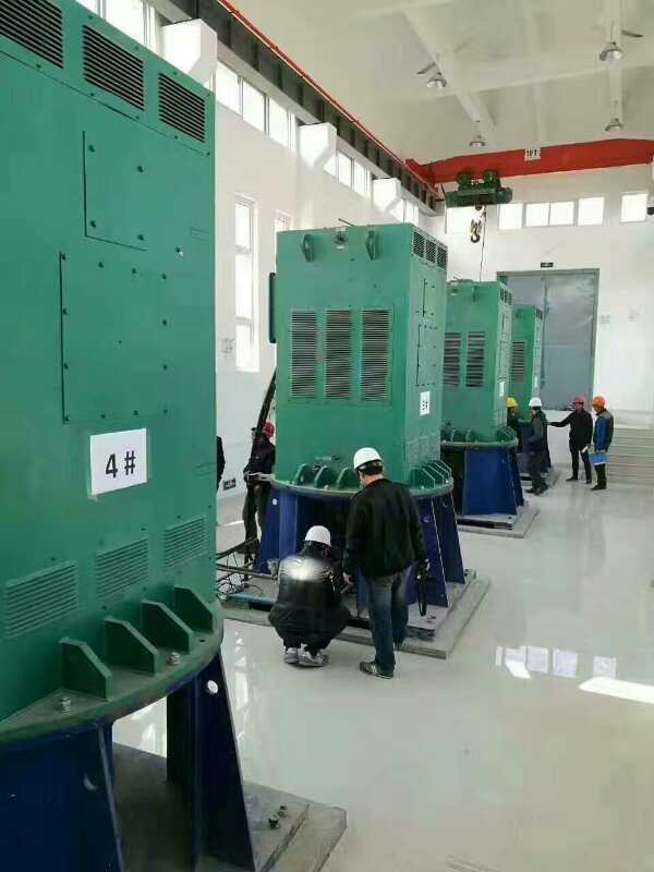 博厚镇某污水处理厂使用我厂的立式高压电机安装现场
